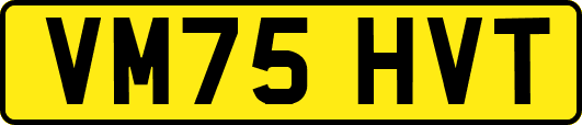 VM75HVT