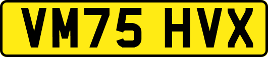 VM75HVX
