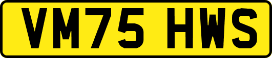 VM75HWS