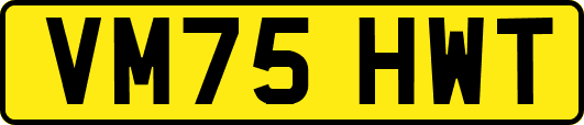 VM75HWT