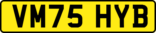VM75HYB