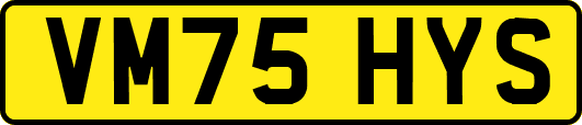 VM75HYS