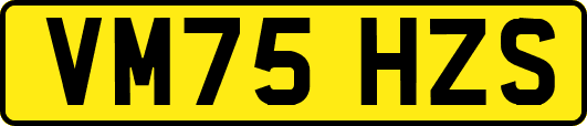 VM75HZS