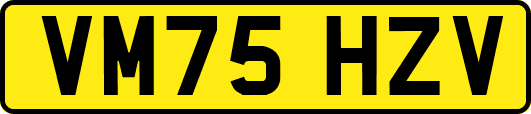 VM75HZV