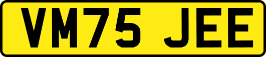 VM75JEE