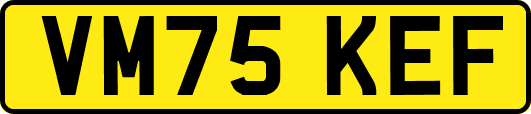 VM75KEF