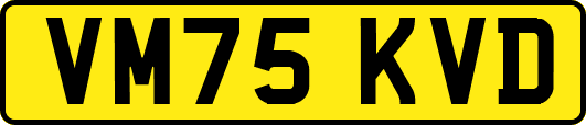 VM75KVD