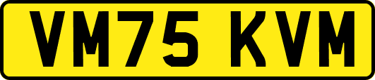VM75KVM