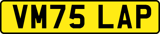 VM75LAP