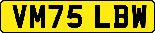 VM75LBW
