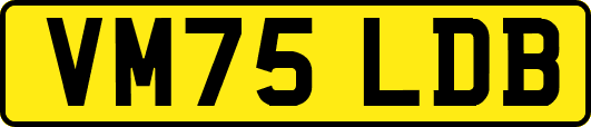 VM75LDB