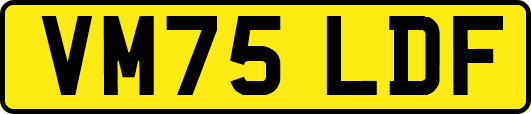 VM75LDF