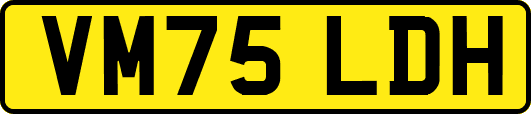 VM75LDH