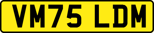 VM75LDM