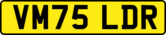VM75LDR