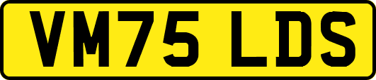 VM75LDS