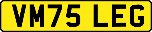 VM75LEG