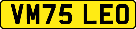 VM75LEO