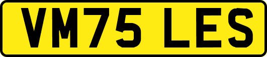 VM75LES