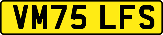 VM75LFS