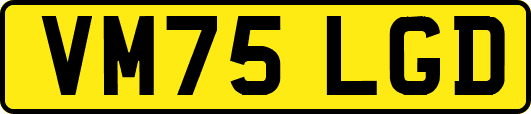 VM75LGD