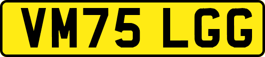 VM75LGG
