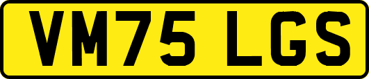 VM75LGS