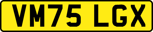 VM75LGX