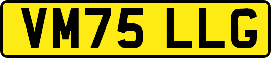 VM75LLG