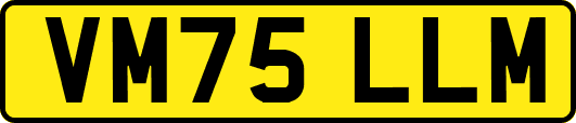 VM75LLM