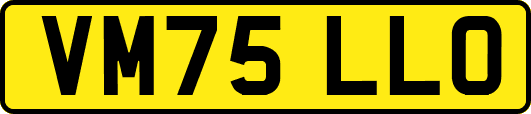 VM75LLO
