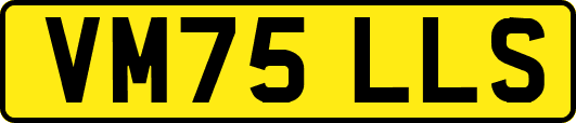 VM75LLS
