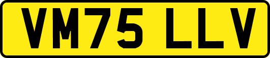 VM75LLV
