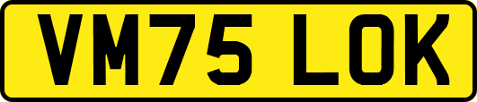 VM75LOK