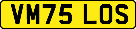 VM75LOS