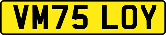 VM75LOY
