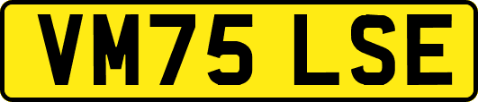 VM75LSE