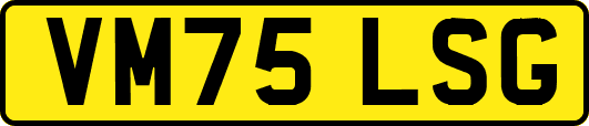 VM75LSG