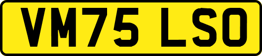 VM75LSO