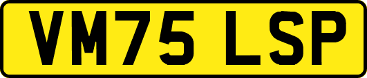 VM75LSP