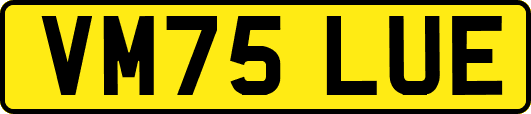 VM75LUE