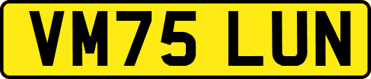 VM75LUN