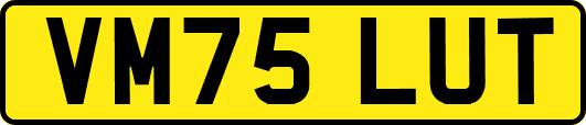 VM75LUT
