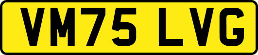 VM75LVG