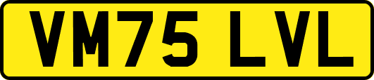 VM75LVL