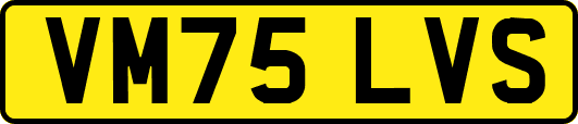 VM75LVS