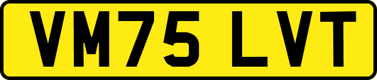 VM75LVT