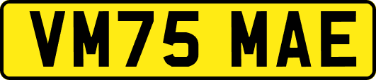 VM75MAE