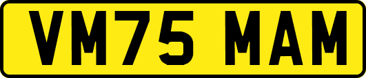 VM75MAM
