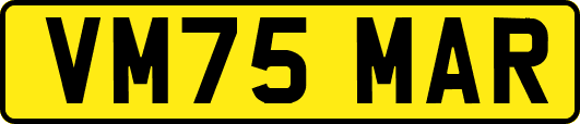 VM75MAR